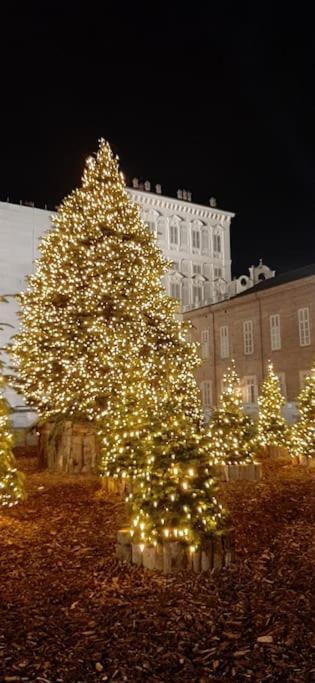 Romantica Mansarda Nel Cuore Di Torino Екстер'єр фото